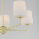 Bristol Five Light Chandelier (12095SWSBR)