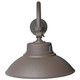 LED Gooseneck (65-662)
