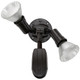 Two Light Floodlight (SF76-503)