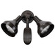 Two Light Floodlight (SF76-531)
