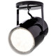 One Light Plant Lamp (SF77-394)