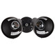 Two Light Floodlight (SF77-495)