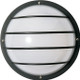 Nuvo Lighting - SF77-859 - One Light Wall Lantern - Black