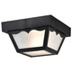 One Light Flush Mount (SF77-863)