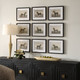 Equine Dynasty Framed Prints, S/9 (32343)