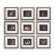 Uttermost - 32386 - Framed Print - Resting Bunny