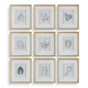 Uttermost - 32449 - Framed Botanical Prints Set/9 - Nature's - Gold