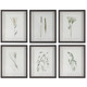 Uttermost - 41459 - Framed Prints S/6 - Forest Finds - Dark Espresso