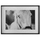 Uttermost - 41464 - Framed Print - Eyes On The Prize - Satin Black Chamfered Edge