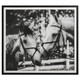 Uttermost - 41465 - Framed Print - Apple Of My Eye - Satin Black