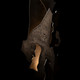 manufacturer_finish:Dark Smoke