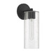 Ricci One Light Wall Sconce (L9-2460-1-89)