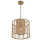 Jayna One Light Pendant (JAY-A5001-BS)