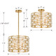 Meridian Five Light Semi Flush Mount (MER-4865-GA_CEILING)