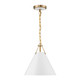 Xavier One Light Pendant (XAV-B8301-VG)
