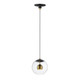 ET2 - E25153-BKNAB - LED Pendant - Nucleus - Black / Natural Aged Brass