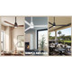Simple 52"Ceiling Fan (F787L-BNW)