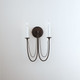 Plumette Two Light Wall Sconce (12161CHB)