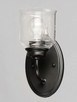 Acadia One Light Wall Sconce (12261CDBK)