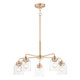 Acadia Five Light Chandelier (12266CDHR)