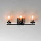 Pinn Three Light Bath Vanity (12403CLBKSBR)