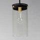 Pinn One Light Pendant (12408CLBKSBR)