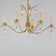 Eden Five Light Chandelier (12745CHGL)