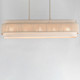 Seacliff Five Light Linear Chandelier (12815OFNAB)