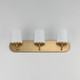 Durham Three Light Bath Vanity (12893WTNAB)