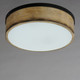 Franklin Two Light Flush Mount (14440DWBK)