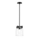 Maxim - 21230CLBK - One Light Pendant - Scoop - Black