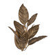 Seraphine Two Light Wall Sconce (N3522-736)