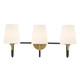Brienne Three Light Vanity (10273-876)