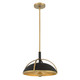 Yorkshire Two Light Pendant (18312-880)