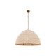 Fernwood One Light Pendant (19895-732)