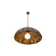 Zinnia One Light Pendant (19914-789)