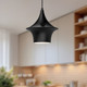 manufacturer_finish:Matte Black