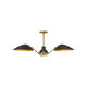 manufacturer_finish:Aged Gold/Matte Black