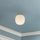 manufacturer_finish:Brushed Gold/Glossy Ribbed Opal Glass
