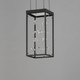 Entanglement LED Pendant (E21251-20BK)