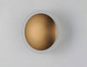 Saucer LED Wall Sconce (E21540-90BKGLD)