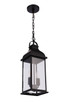 Bent Tree Two Light Outdoor Pendant (ZA7211-MN)