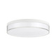 Clarion LED Flush Mount (6-4444-11-WH)
