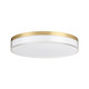 Clarion LED Flush Mount (6-4444-13-BR)