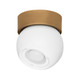 Troy Lighting - C1406-PBR/SWH - One Light Flush Mount - Odin - Patina Brass
