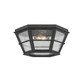 Troy Lighting - C2514-FRN - Two Light Flush Mount - Lake County - French Iron