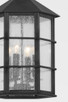 Lake County Four Light Outdoor Lantern (F2526-FRN)