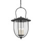 Troy Lighting - F5731-FRN - Four Light Pendant - Monterey County - French Iron
