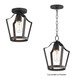 Arden One Light Pendant / Semi-Flush (10421BK)