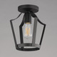 Arden One Light Pendant / Semi-Flush (10421BK)